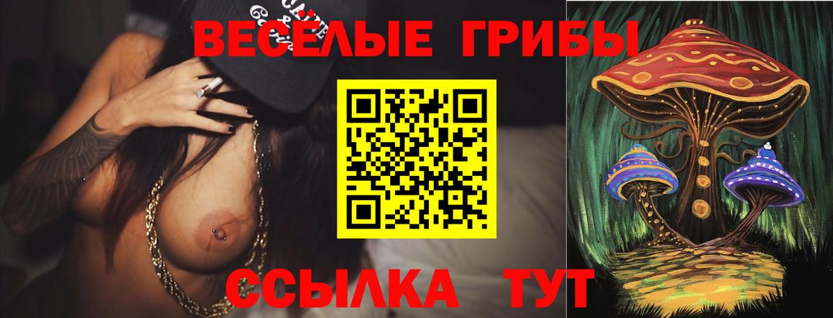 Псилоцибиновые грибы MAGIC MUSHROOMS  Вход с VPN  Псилоцибиновые грибы Magic Shrooms  где найти наркотики  Янаул 